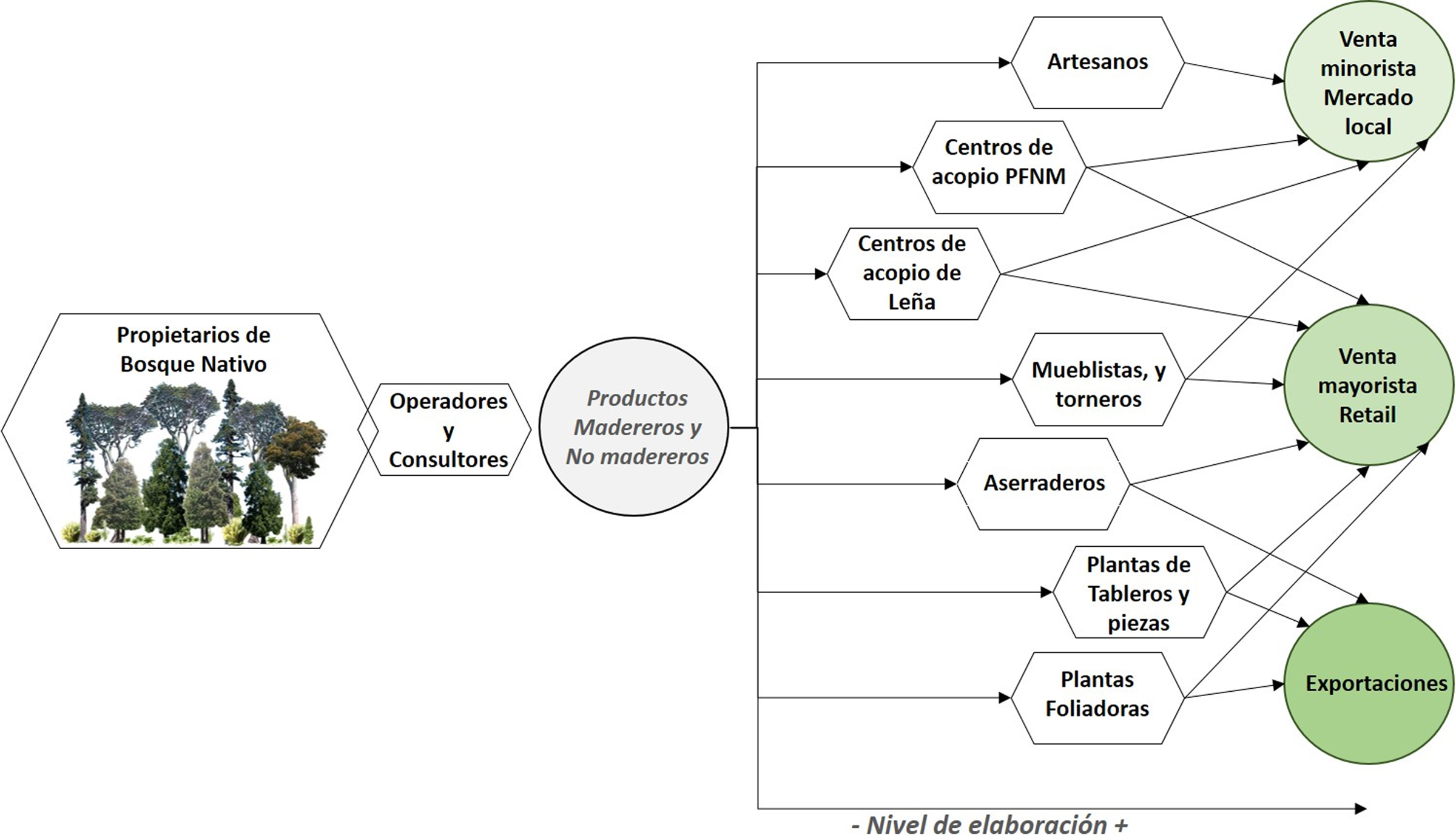 Esquema Actores del Clúster Forestal