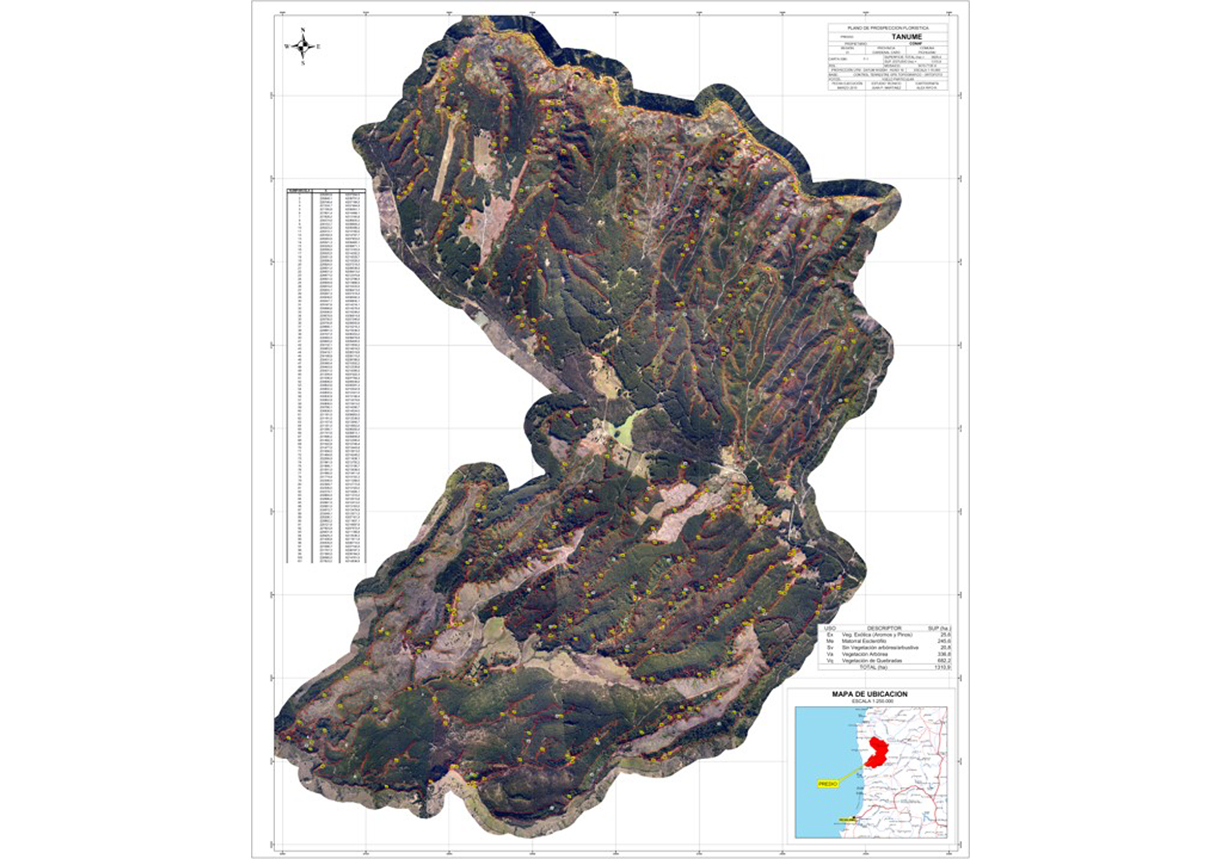 Plano parcelas inventario del CEF Tanumé