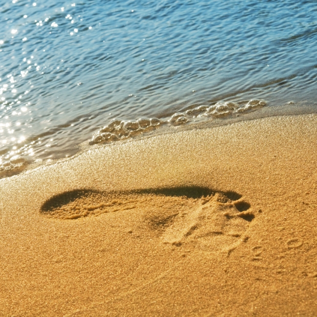 Footprint