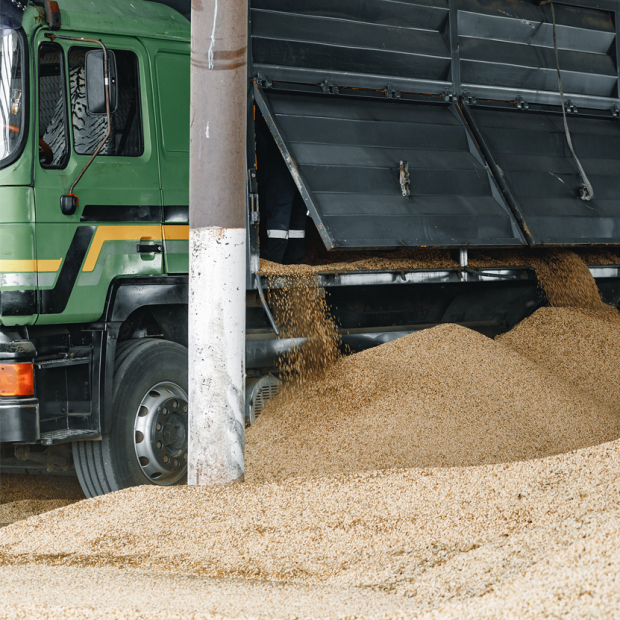 Propuesta de desarrollo de Centros logísticos y de comercialización de biomasa