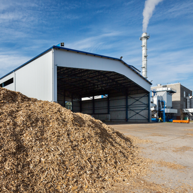 Biomasa para Chile: desarrollo de una Estrategia Sectorial