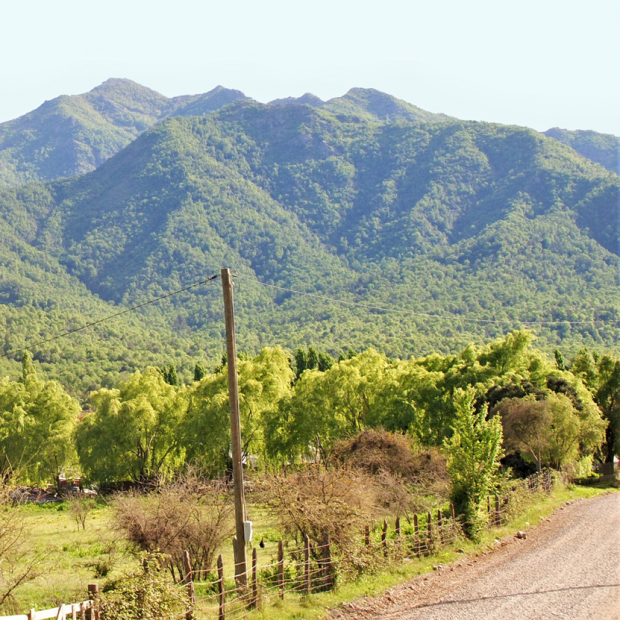 Hacienda Los Robles, Región Del Maule