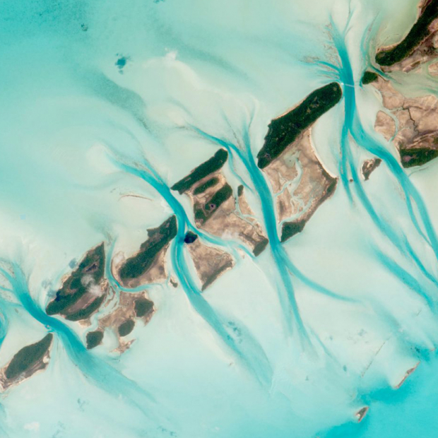 Desarrollo de sistemas de monitoreo automatizados para bosques naturales en base a AI