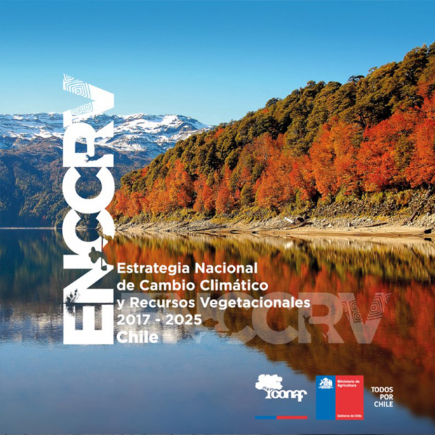 Manual técnico para implementar las medidas