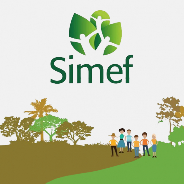 Revisión de medio tiempo GEF-SIMEF