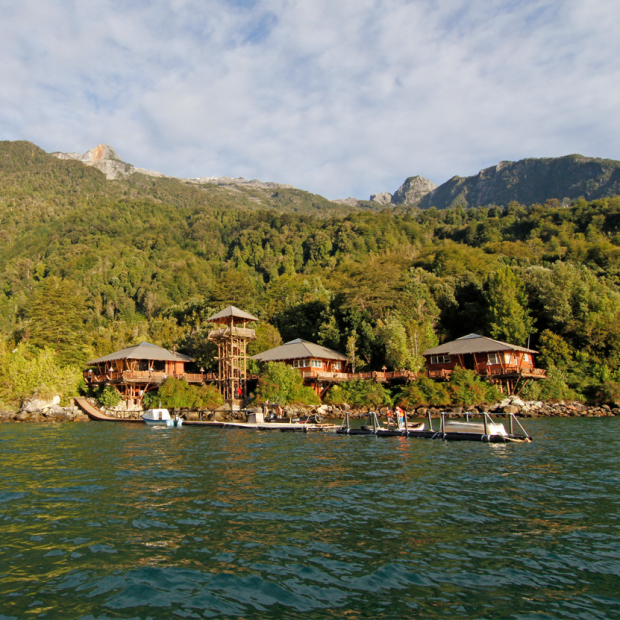 carbono forestal en San Ignacio de Huinay