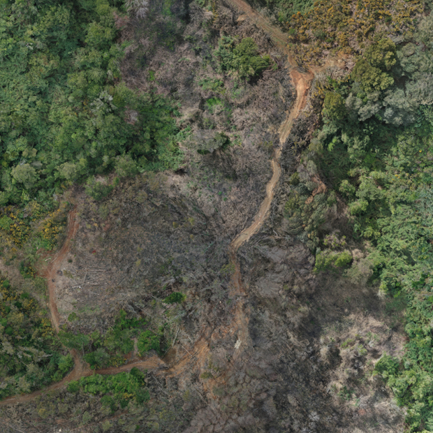 Estudio de aplicabilidad de herramientas tecnológicas para la evaluación y monitoreo de ecosistemas forestales